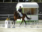 Ve�ja slika 