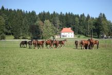 Veja slika 