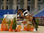 Ve�ja slika 